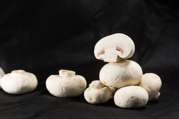 Mushrooms on a black background