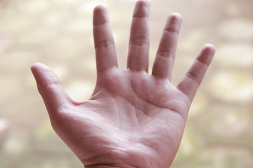 Palm. palmistry, a closeup view of the palm of a hand on a bokeh background