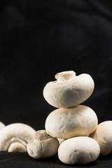 Mushrooms on a black background