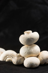 Mushrooms on a black background