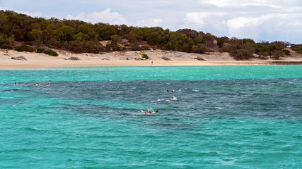 Plakat People snorkeling on a shallow coral reef near a sand island