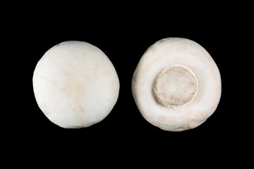 Mushrooms on a black background