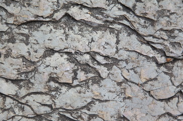 Old stone wall texture wall.Grunge background for landscape.