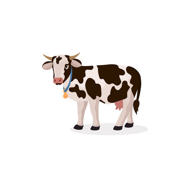 Illustration of a cute cow with a bell. Vector isolated farm animal in cartoon style for your design. Illustration for cards, banner.