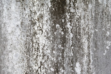 old wall texture. 