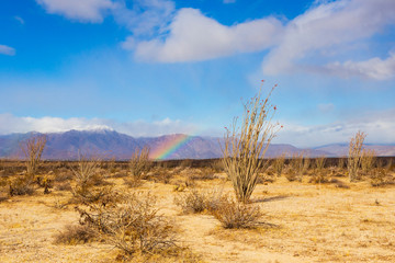 Rainbow in the Anza-Borrego Desert with snow capped mountains in the background