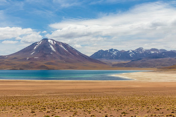 Laguna Miscanti near Atacama desert   in Chile