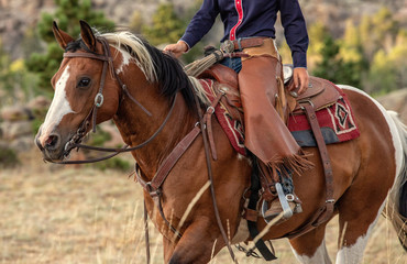 Cowgirl on Paint Horse