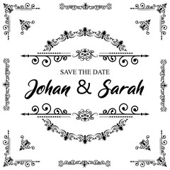 Obraz premium Text separator decoratice typography ornament design elements vintage dividing shapes Border illustration