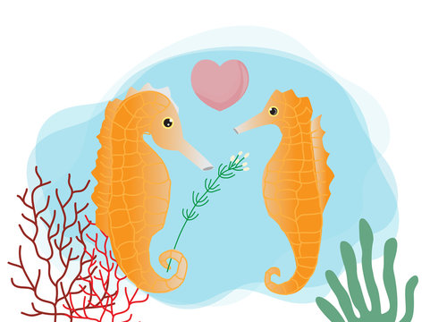Vector image of cute cartoon seahorse couple under the sea.