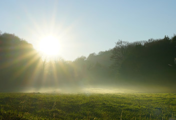 Sunrays through fog over a green grass field in Brittany, France