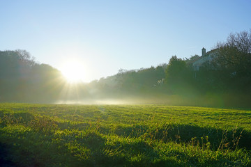 Sunrays through fog over a green grass field in Brittany, France