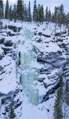 Fototapeta na wymiar Finland Lapland Rovaniemi Winter Wilderness