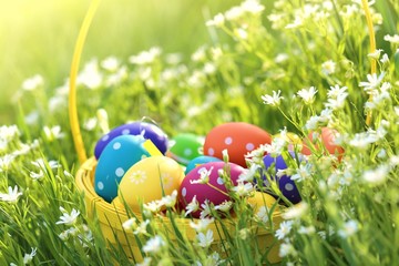  Easter eggs decor in a yellow basket on a flowering spring meadow in bright sunshine.Bright easter colorful background.Spring Religious April Holiday.