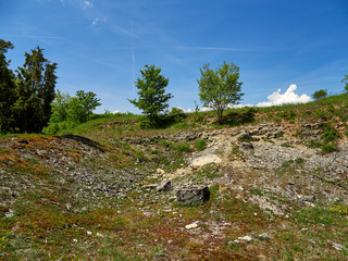 Landschaft im NSG  Sodenberg in der Vorderrhön bei Hammelburg, Landkreis  Bad Kissingen,...