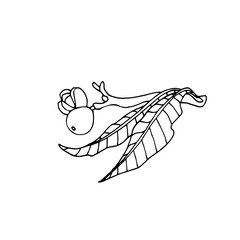 walnut branch with leaves and nuts in the skin, element of decorative ornament or pattern, vector illustration with black contour lines isolated on white background in doodle and hand drawn style