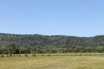 landscape with green field and blue sky