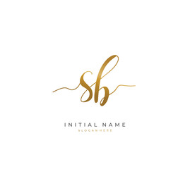 Handwritten letter S B SB for identity and logo. Vector logo template with handwriting and signature style.