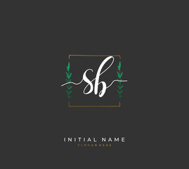 Handwritten letter S B SB for identity and logo. Vector logo template with handwriting and signature style.