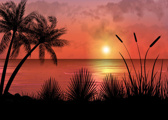 Obraz premium A Tropical Sunset or Sunrise with Palm Trees