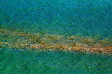Coral Spawning In The Ocean, Australia
