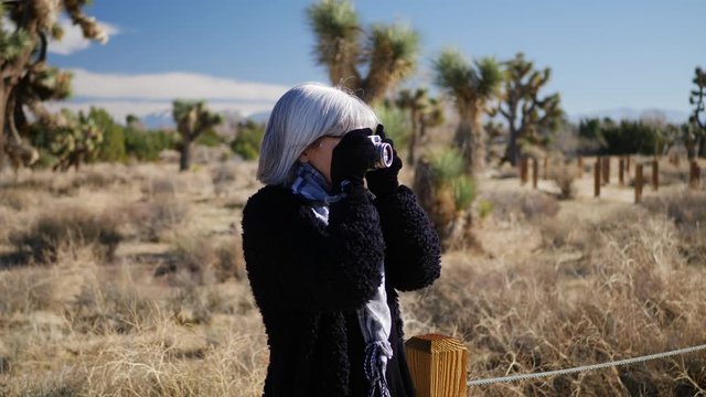 An adult woman photographer taking pictures with her old fashioned film camera and lens in a desert wildlife landscape