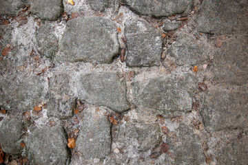 Stone path in forest, texture rock of clay
