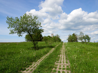 Obraz premium NSG „Schwarzes Moor