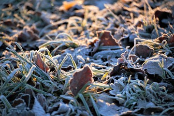 natur