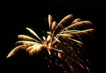 Feuerwerk am 1.1.2020