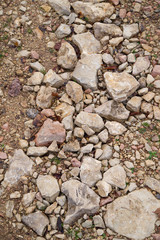 the rocky surface pattern. cobblestones and last year's leaves on the road background