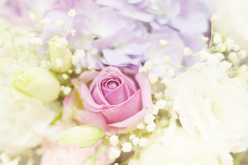 Close up beautiful Pink  rose flower bouquet
