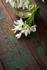 White spring flowers on wooden background