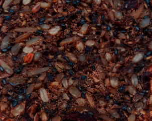 Sliced whole grain bread rye with seeds flax, sunflower, pumpkin and sesame.Healthy food, eco-friendly natural products. Fresh bread on a blue background.