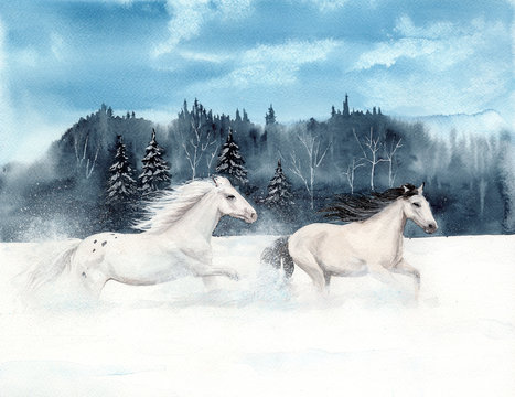 Watercolor picture of two  white horses running on  a snowy field with a distant forest  on the background