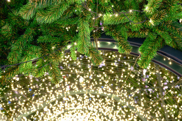 Glittering string lights with pine leaf decoration on arch