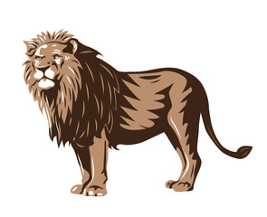 Fototapeta premium wild lion standing isolated vector illustration