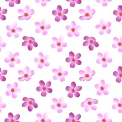 SEAMLESS BACKGROUND WITH CHERRY BLOSSOMS IN VECTOR