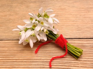 Snowdrops isolated on wooden background