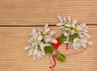 Snowdrops isolated on wooden background