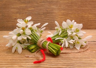Snowdrops isolated on wooden background