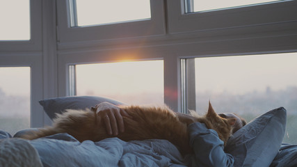 Beautiful romantic brunette woman lying on bed sleeping with maine coon cat by the window