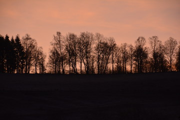 Sonnenaufgang im Winter