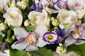 bouquet of flowers isolated on white