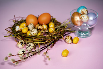 Easter eggs in nest and willow branch on a pink background
