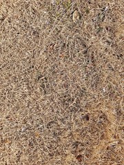 Form, texture source for graphic editing