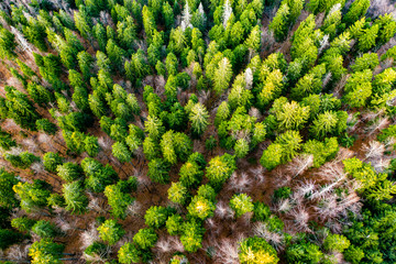 Beautiful countryside landscape in Gorski kotar, Croatia, from drone, mountains in background