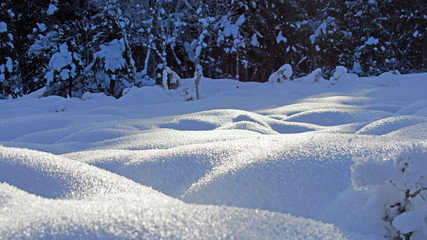 beautiful winter landscape with snow and hoar frost on a sunny day