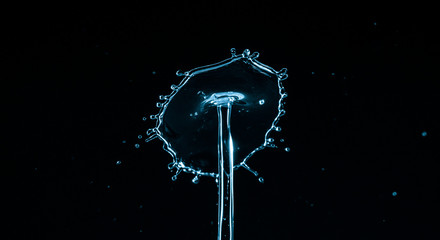 Water splash crown. Drop collision on black background