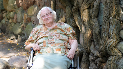 Happy old lady in a wheelchair. Portrait
